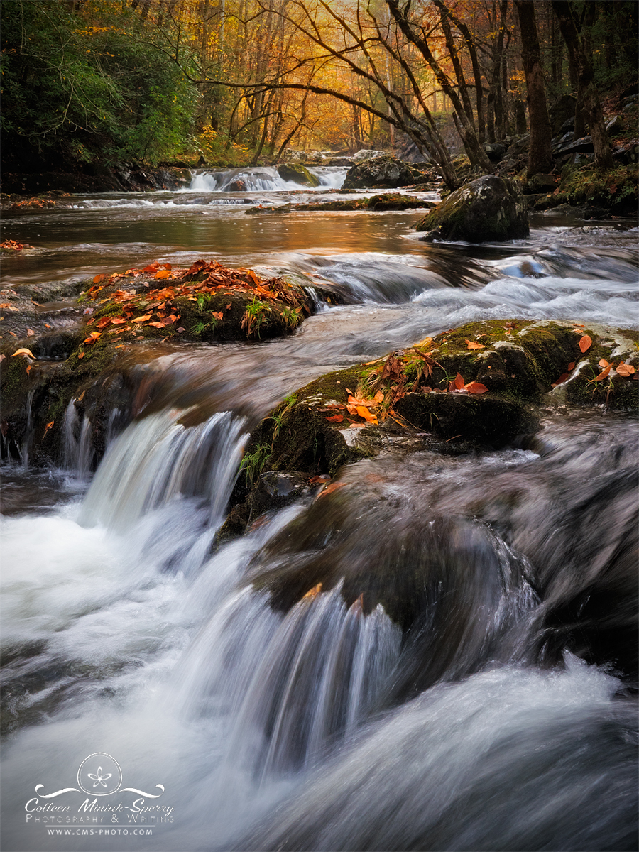 "In the Flow" || Waterfalls cascade down the Little River along Tremont Road in autumn in the Great Smoky Mountains National Park, Tennessee, USA (Click on photo to order a print)