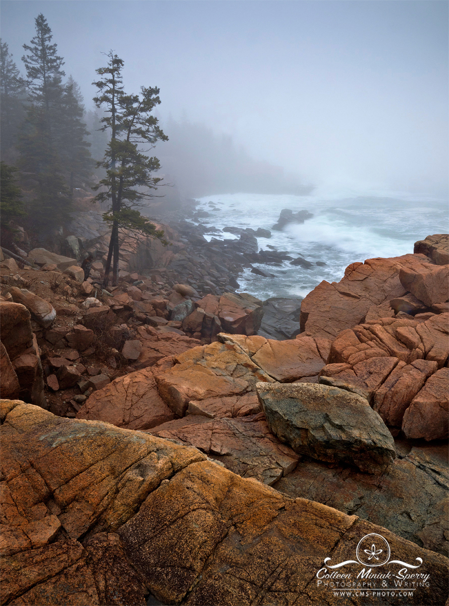 "Fogged in Obscurities" || Prints available from my website at www.cms-photo.com